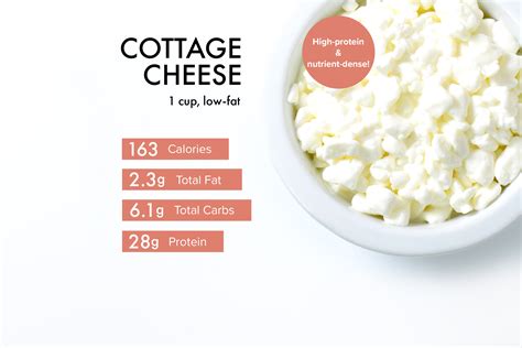 How Much Protein in 1 Cup Cottage Cheese and Why It Might Just Be the Secret Ingredient to Your Next Dream Vacation