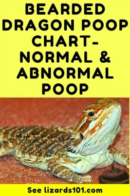 What Does Healthy Bearded Dragon Poop Look Like? And Why Does It Matter More Than You Think?